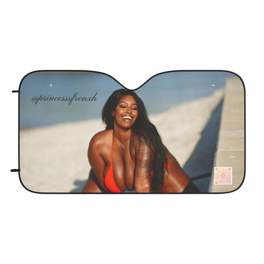 Royal Car Sun Shades